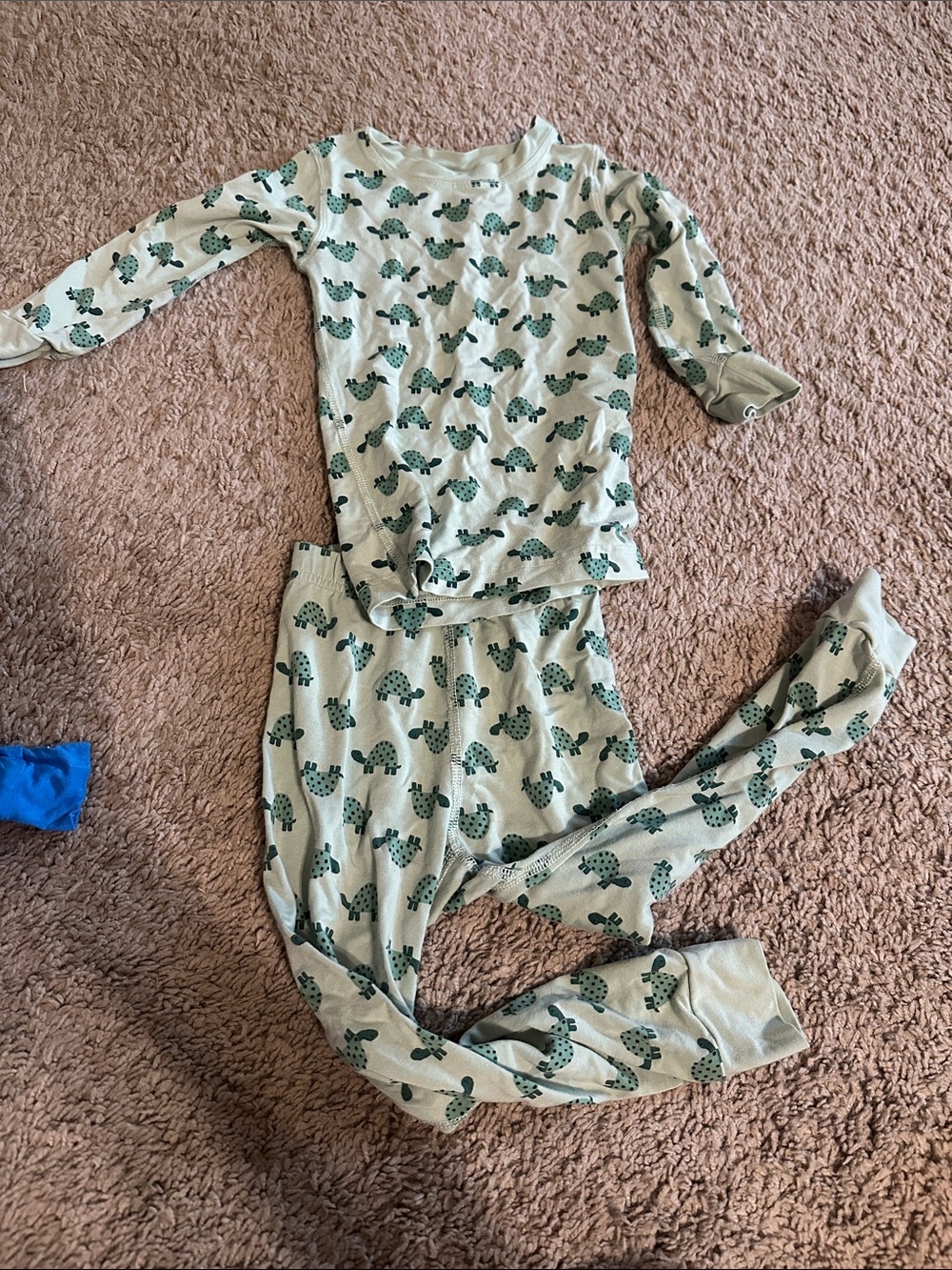 Hanna Andersson Cream Pajama Set with Green Turtle Print